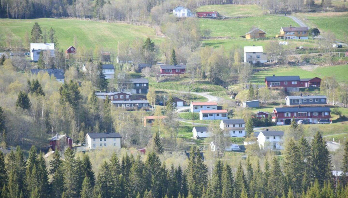 Bildet viser boligfeltet Rønningsgjardet i Tydal. Foto: Svein Hilmo