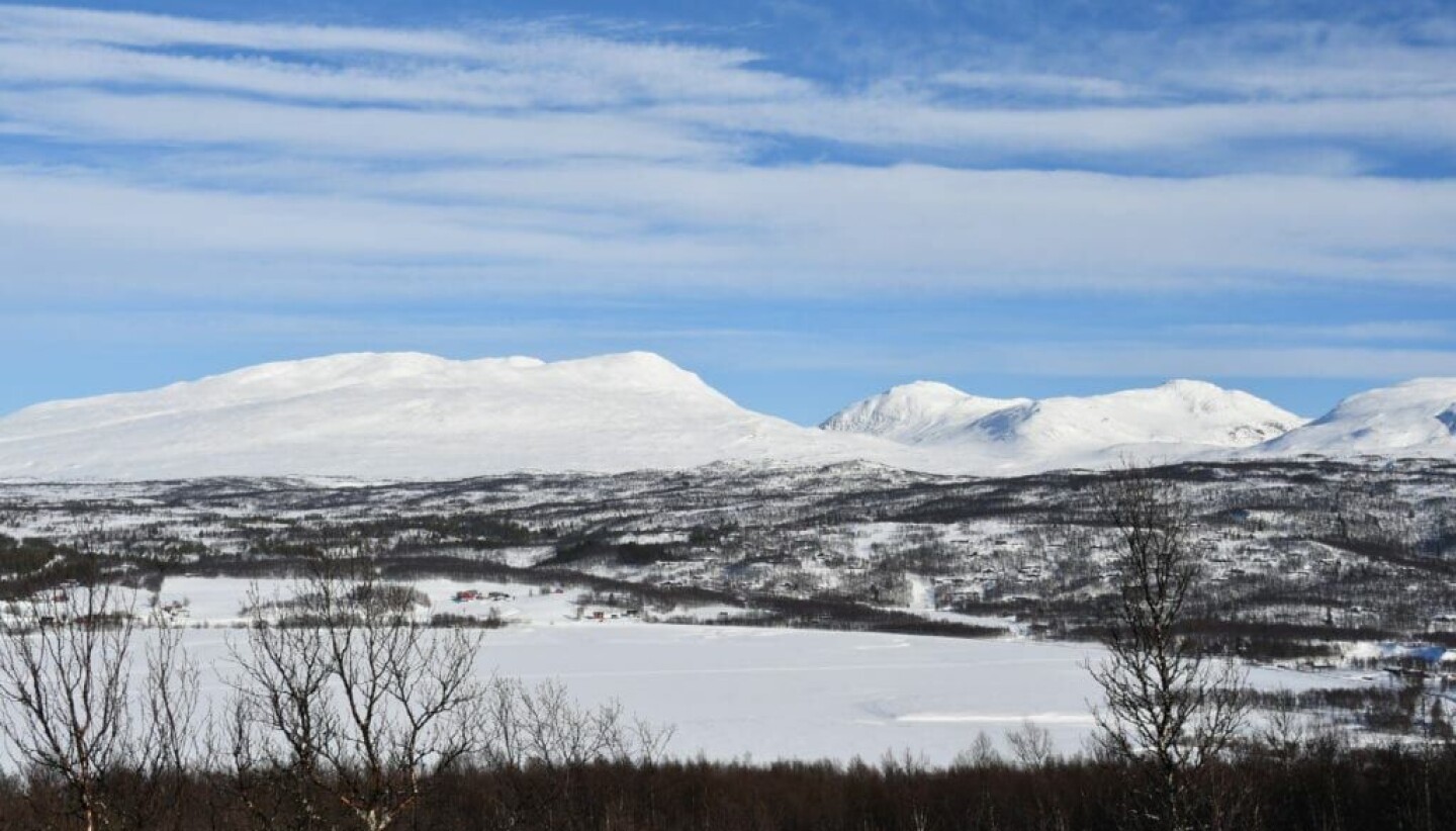Arkivbilde.