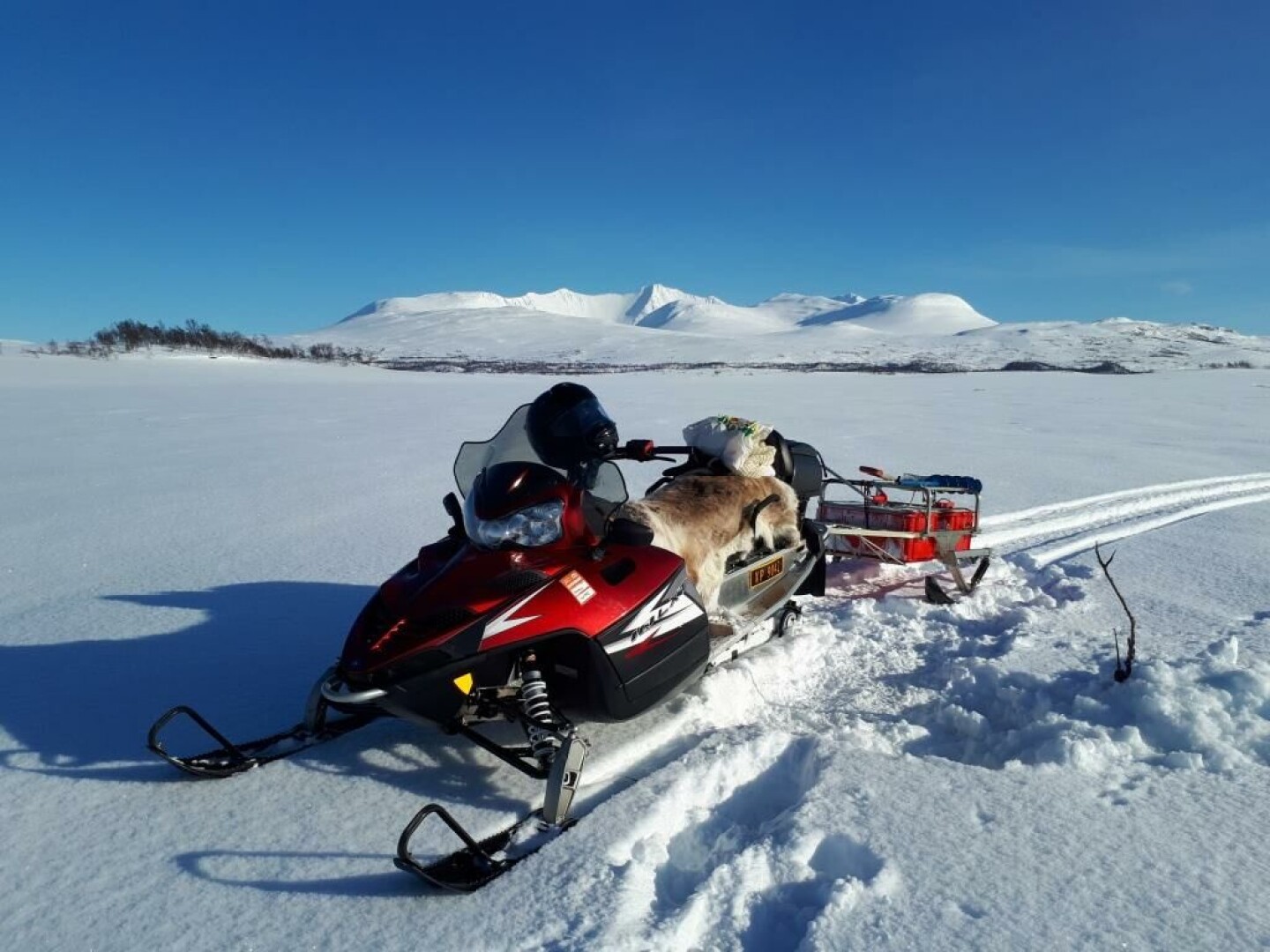 Min mening – Snøskuter