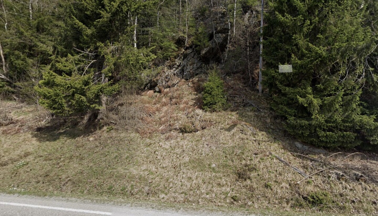 Steinen har trolig kommet fra denne skråningen. Foto: Google Maps