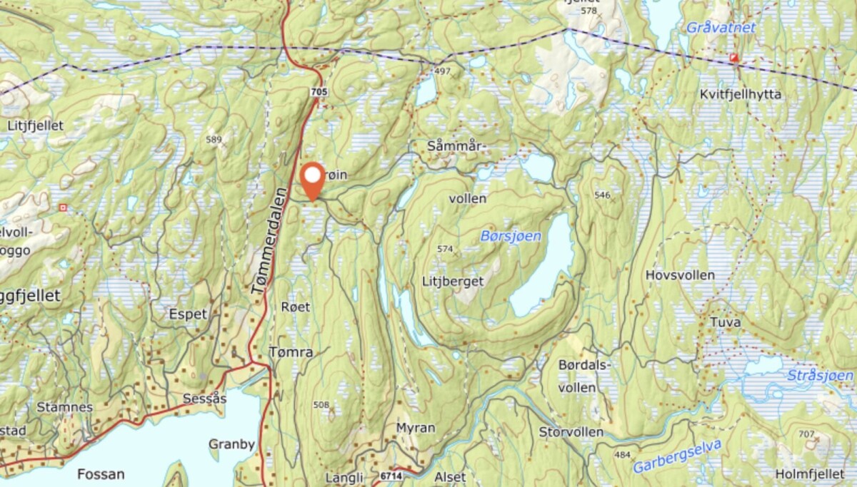 Funn Av Sauekadaver I T mmerdalen Dokumentert At Den Er Tatt Av Bj rn funn-av-sauekadaver-i-t-mmerdalen-dokumentert-at-den-er-tatt-av-bj-rn