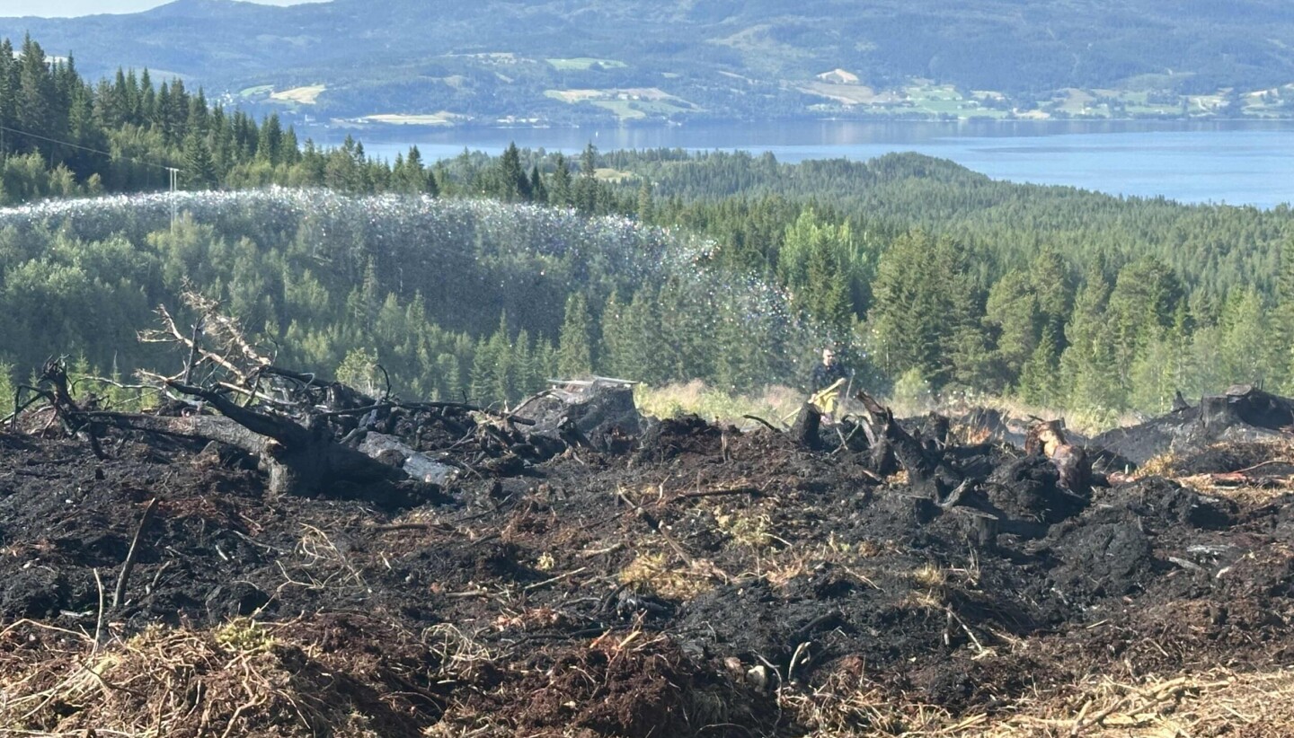 Foto: Øyvind Skogmo Hansen