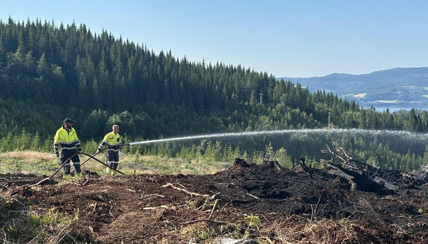 Foto: Øyvind Skogmo Hansen