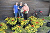 Tre kvinner står ved blomsterkrukker foran en trevegg, med en sykkel synlig bak dem.