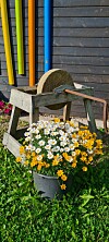 Gamle hageredskaper dekorert ved en trevegg med en krukke fylt av hvite og gule blomster foran.